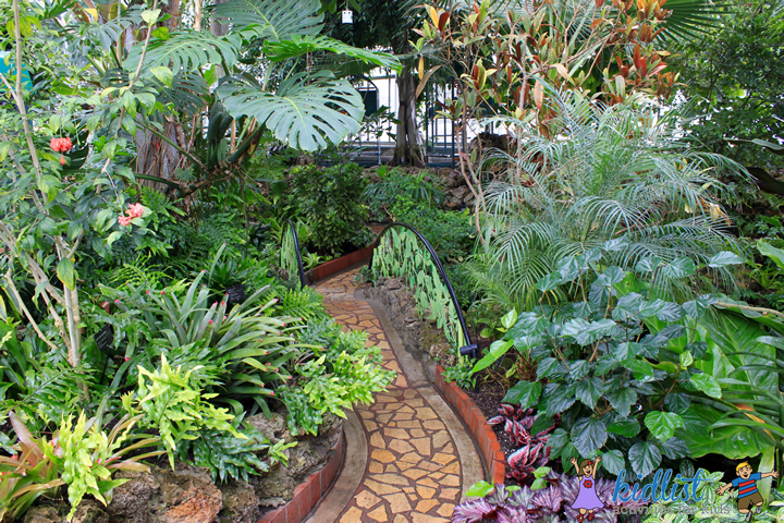 oak park conservatory