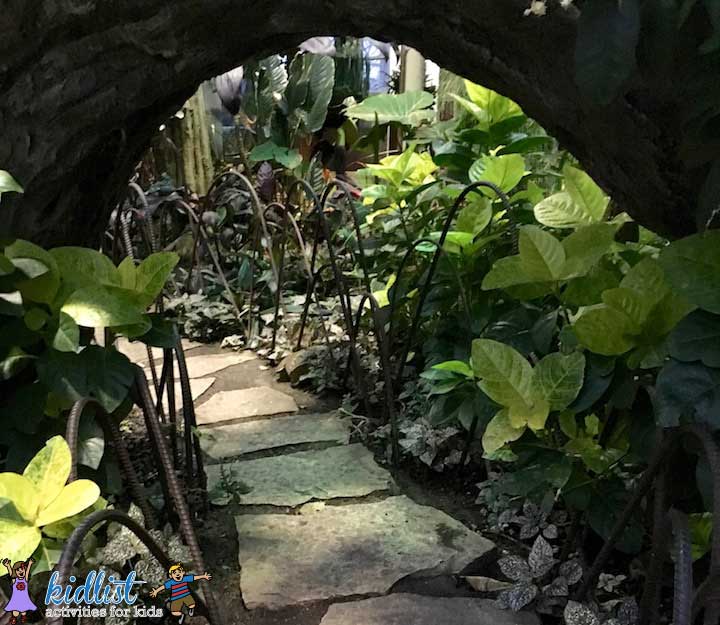 Garfield Park Conservatory