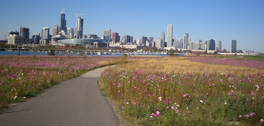 photo credit Chicago Park District