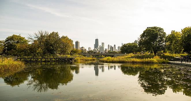 photo credit Lincoln Park Zoo