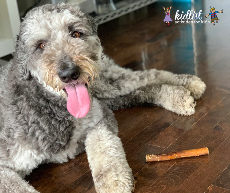 Happy dog with a treat