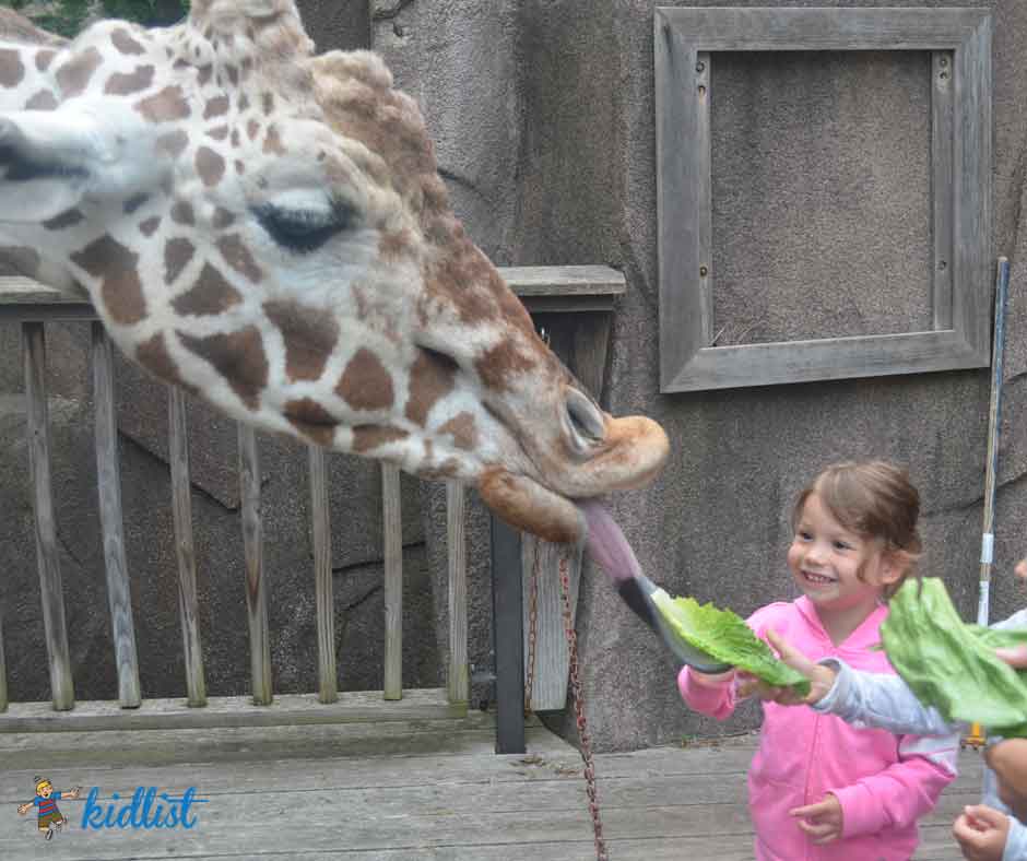 Milwaukee zoo